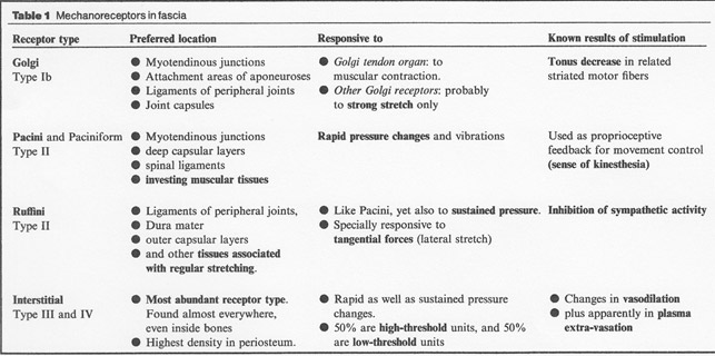 terapia_manuale